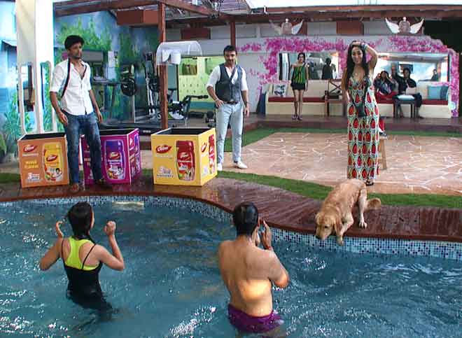 Andy and Gauahar inside the pool during the chyawanprash task